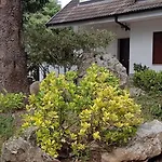 Apartamento Le Conifere Pignola