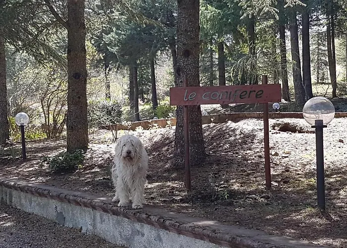 Le Conifere Апартаменты