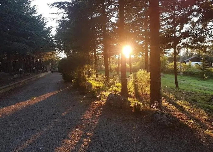 Le Conifere * Pignola