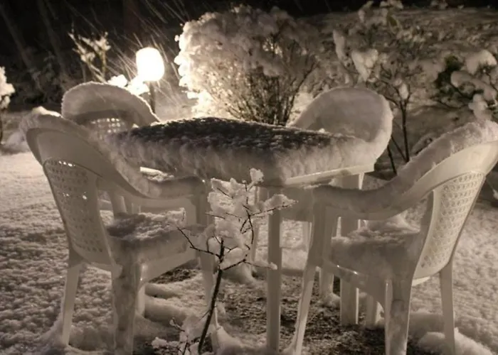 Le Conifere * Пиньола