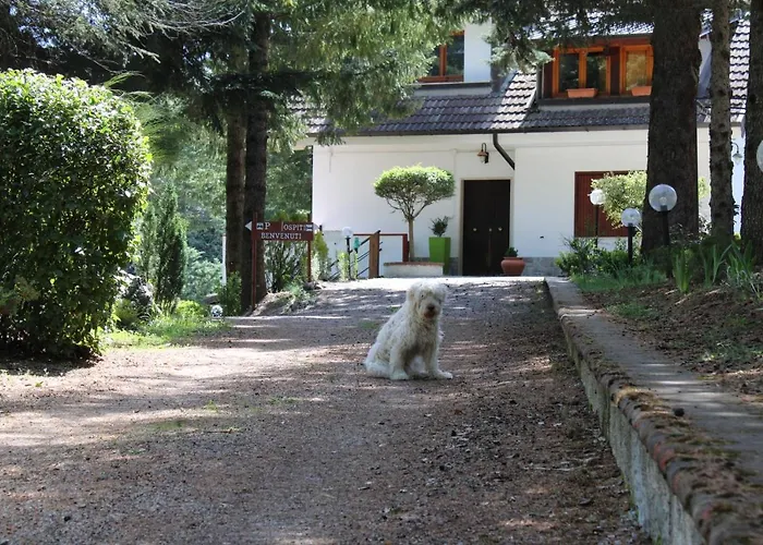 Апартаменты Le Conifere