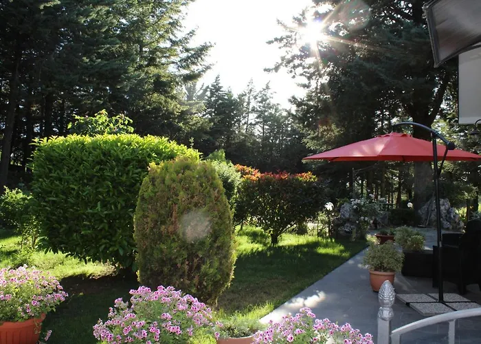 Apartamento Le Conifere Pignola