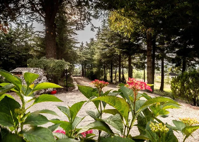 Le Conifere Пиньола